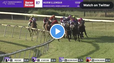 murwillumbah race results today|Murwillumbah Cup results and replay – 2022 .